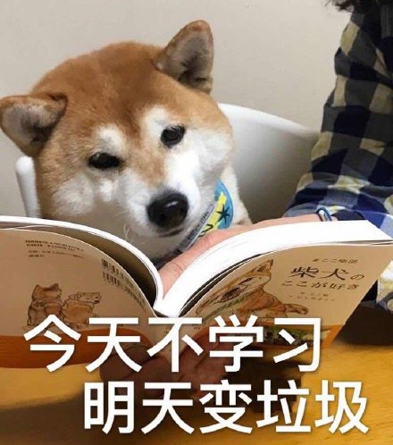 尚硅谷资料地址